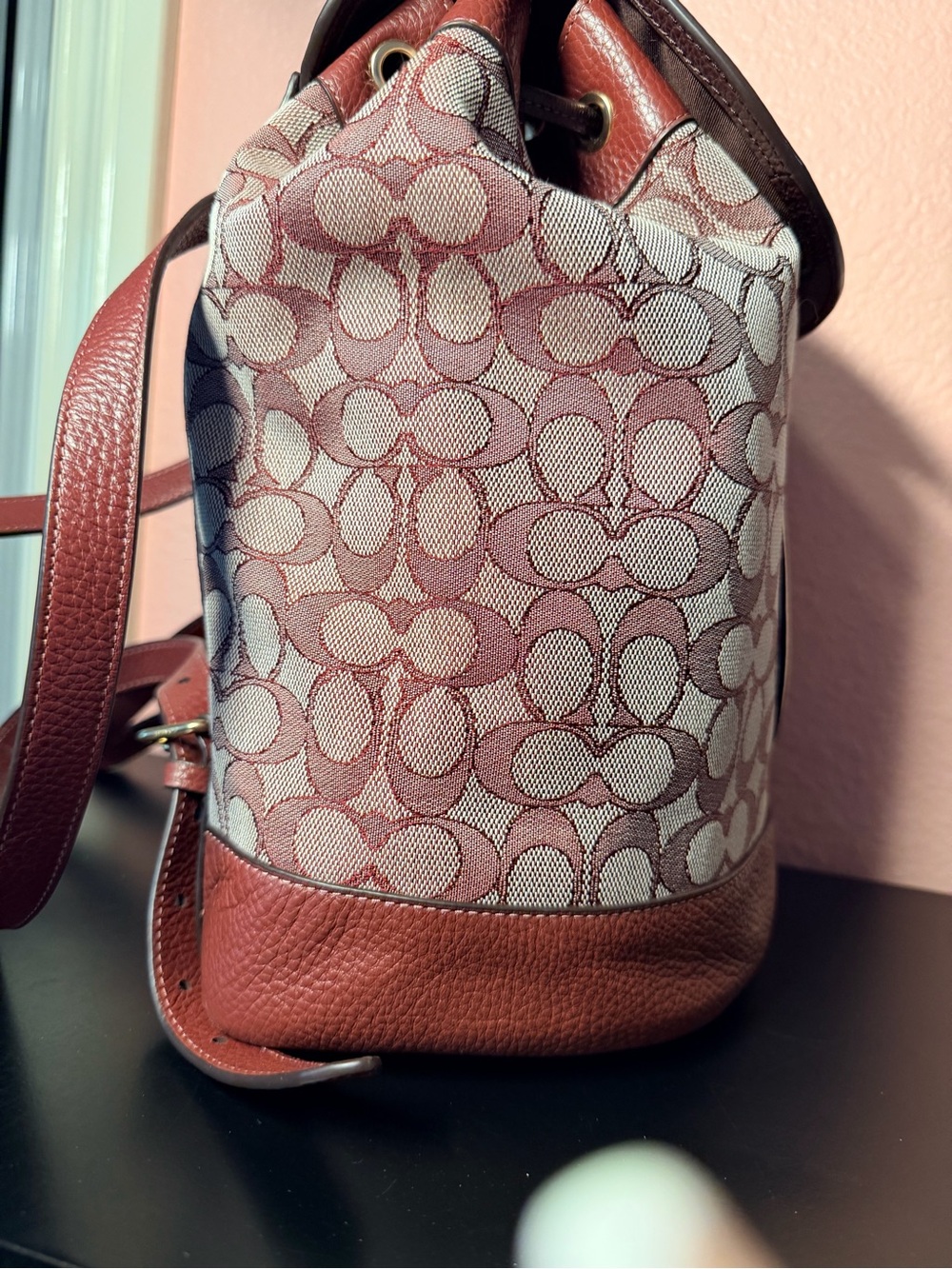 Coach Dempsey Drawstring Backpack - Picture 3 of 16